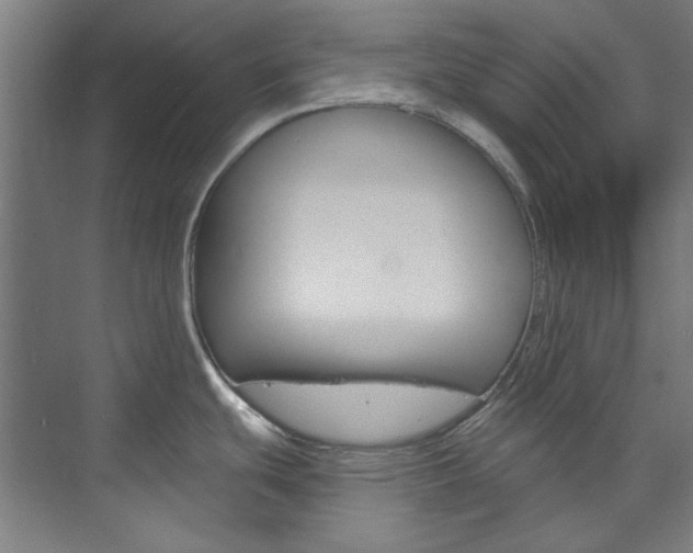 X0000074001439200608211056