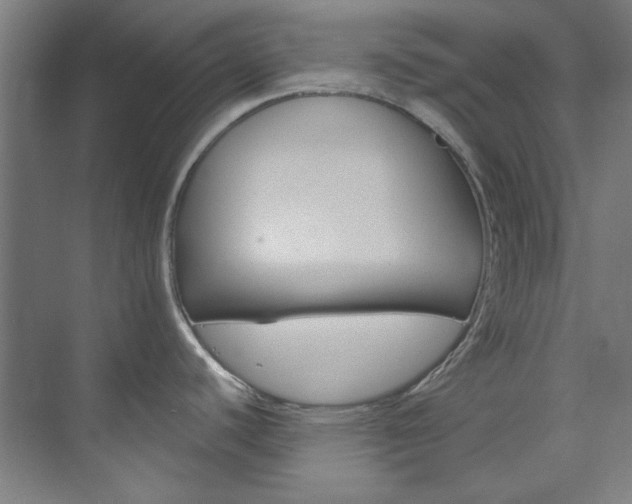 X0000074001440200608211056