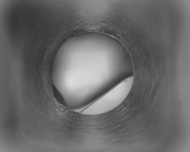X0000074001441200608211055
