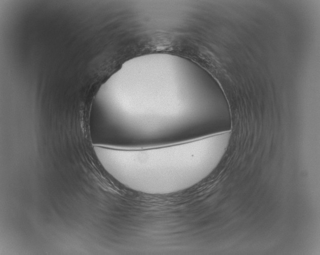 X0000074001442200608211055