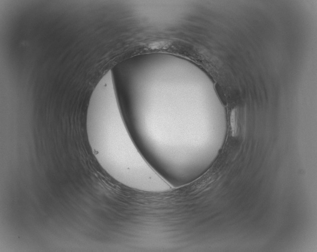 X0000074001443200608211055