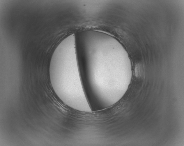 X0000074001444200608211055