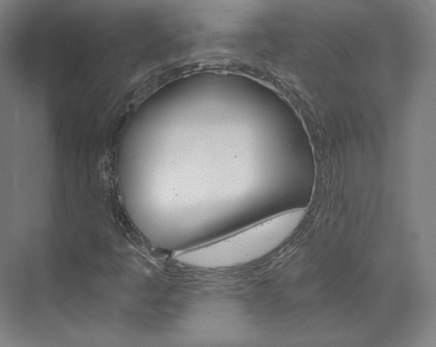 X0000074001445200608211055