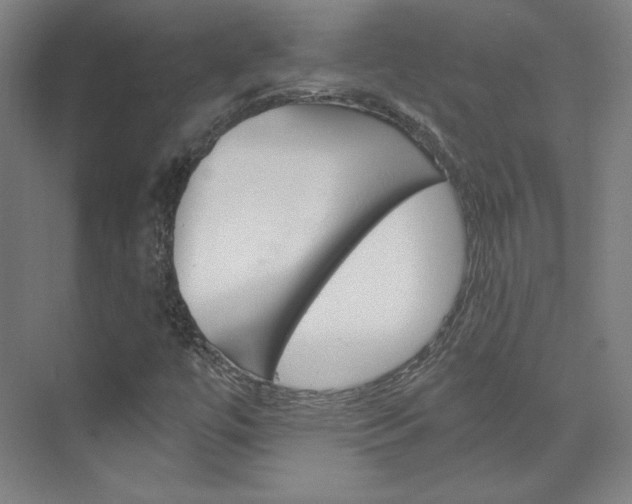 X0000074001447200608211055