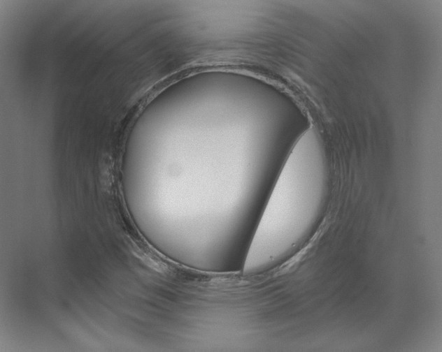 X0000074001449200608211055
