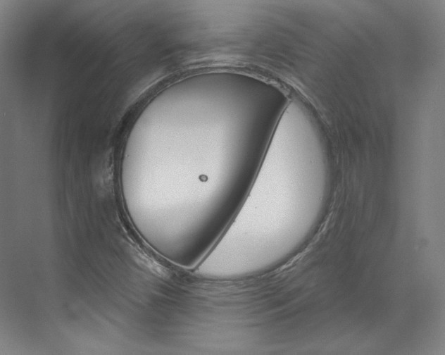 X0000074001450200608211055