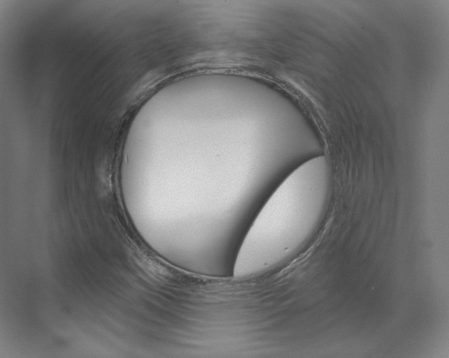 X0000074001451200608211055