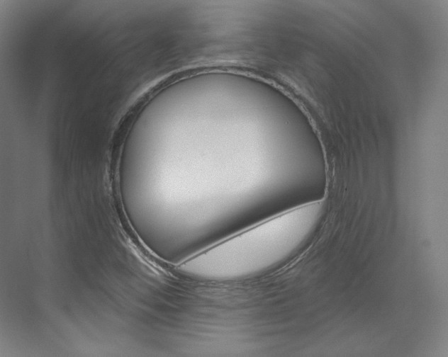 X0000074001452200608211055