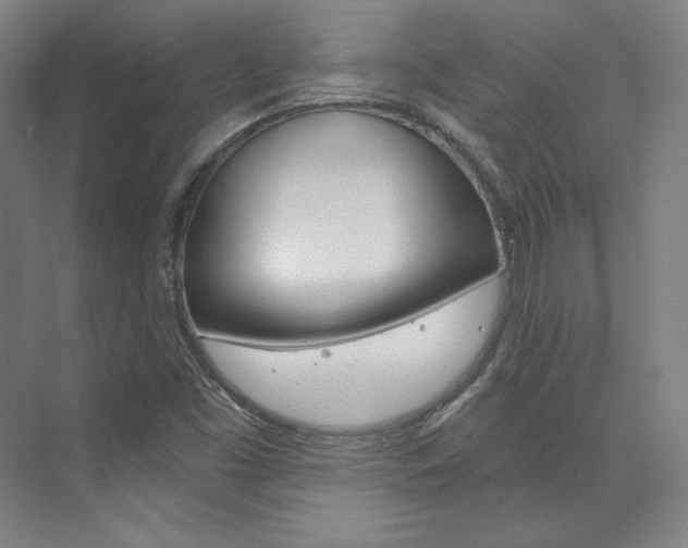 X0000074001453200608211055