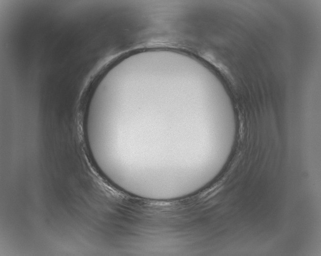 X0000074001454200608211055