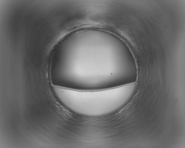X0000074001455200608211055