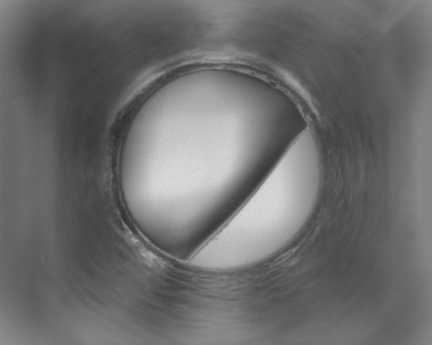 X0000074001456200608211055