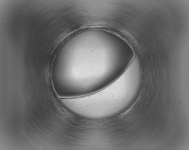 X0000074001457200608211055