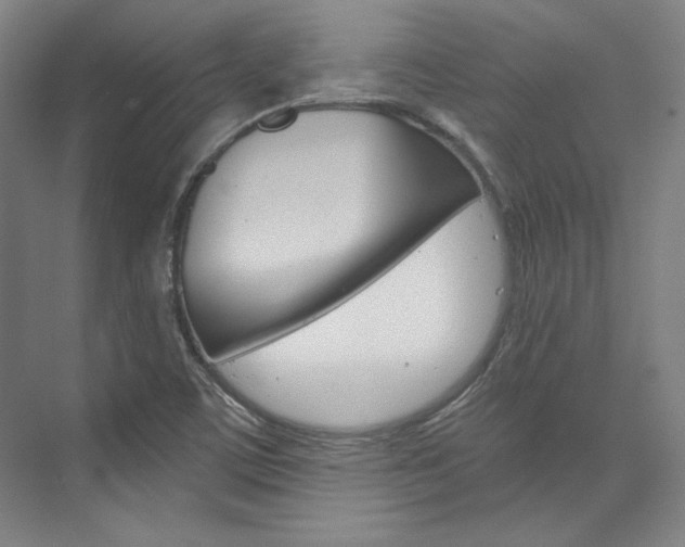X0000074001459200608211055
