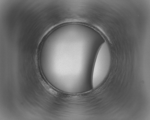 X0000074001460200608211055