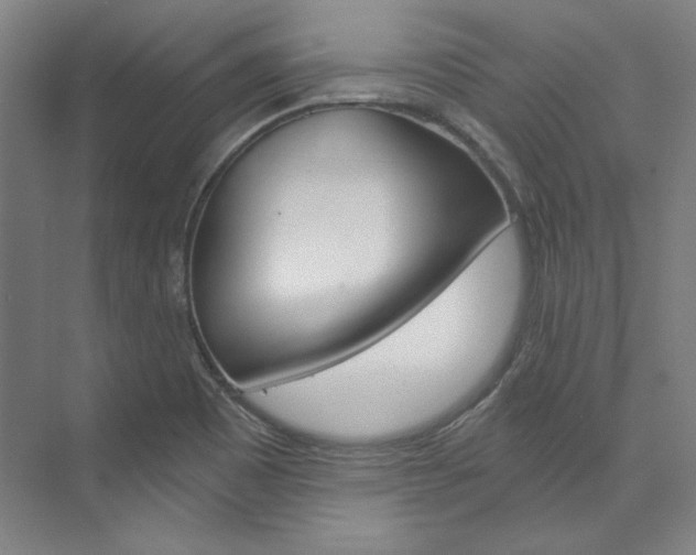 X0000074001465200608211055