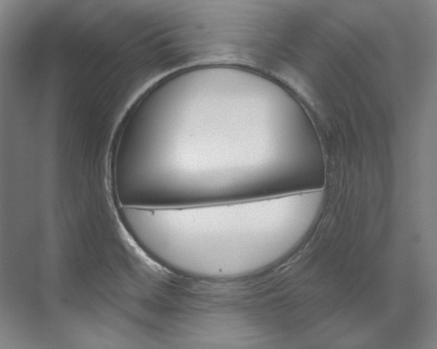 X0000074001468200608211055