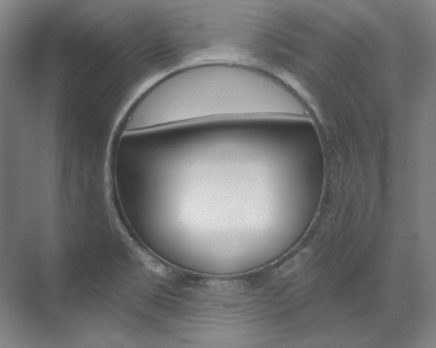 X0000074001469200608211055