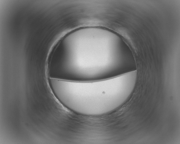 X0000074001472200608211055