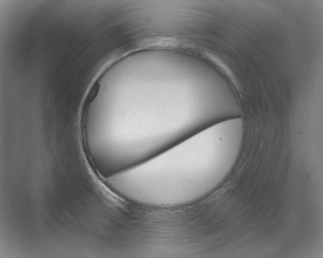 X0000074001475200608211055