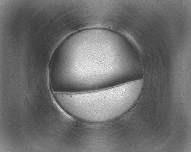 X0000074001476200608211055
