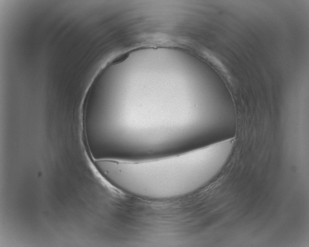 X0000074001479200608211055
