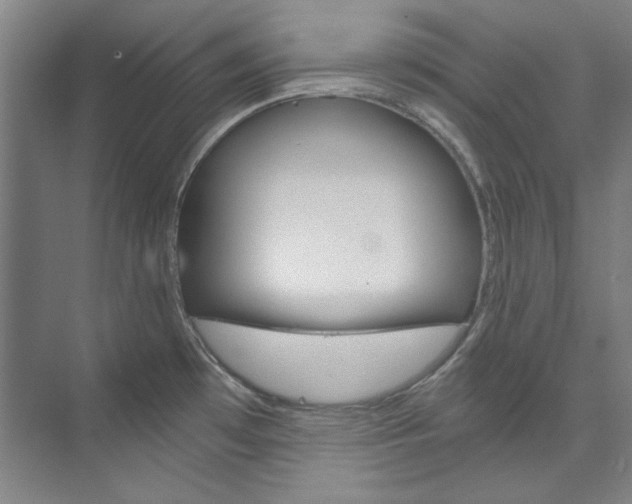 X0000074001481200608211055