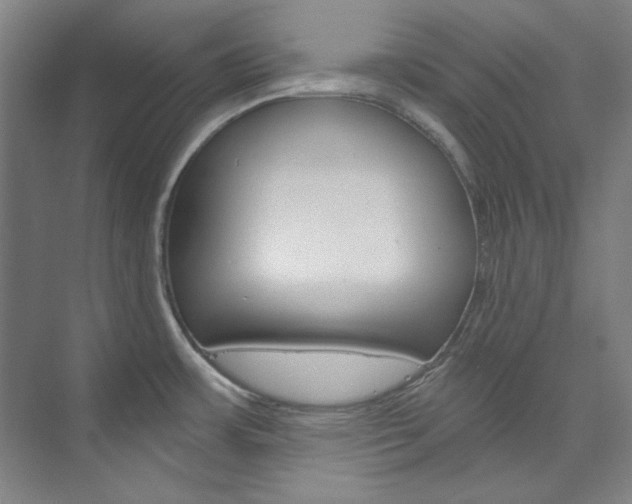 X0000074001483200608211055