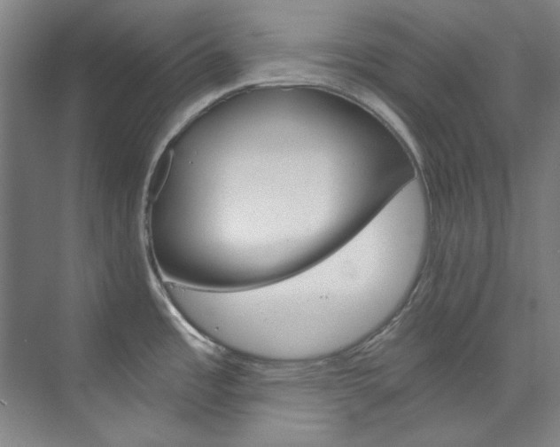 X0000074001485200608211055
