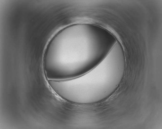 X0000074001488200608211055