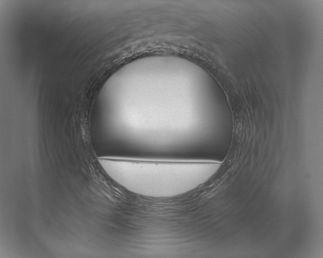 X0000074001490200608211054