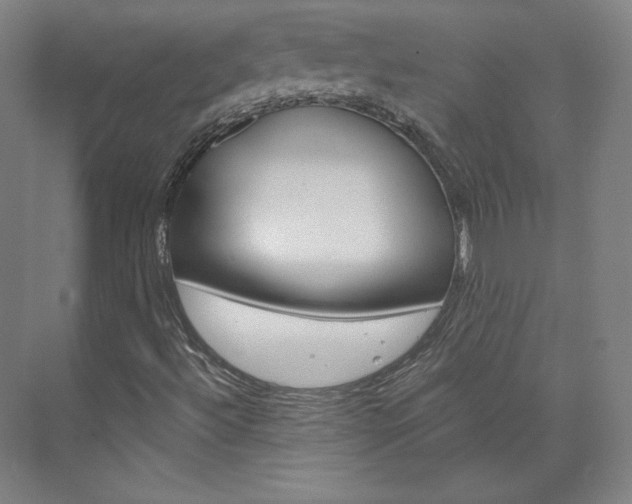 X0000074001492200608211054
