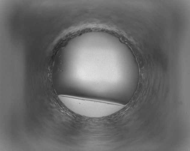X0000074001495200608211054