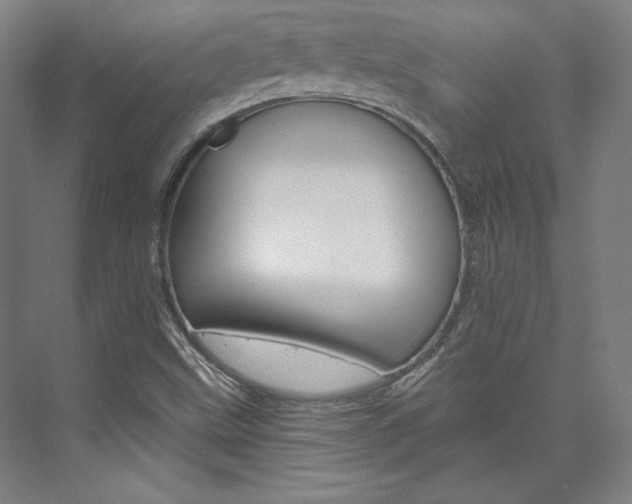 X0000074001499200608211054