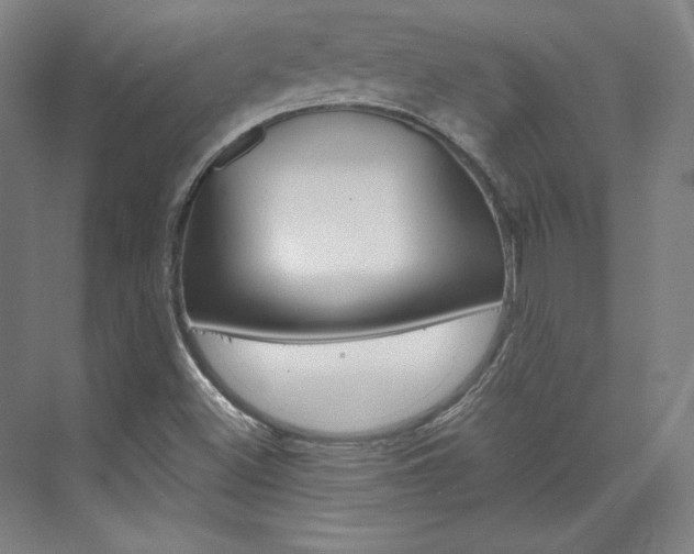 X0000074001500200608211054