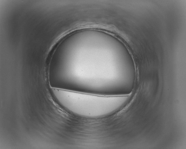 X0000074001501200608211054