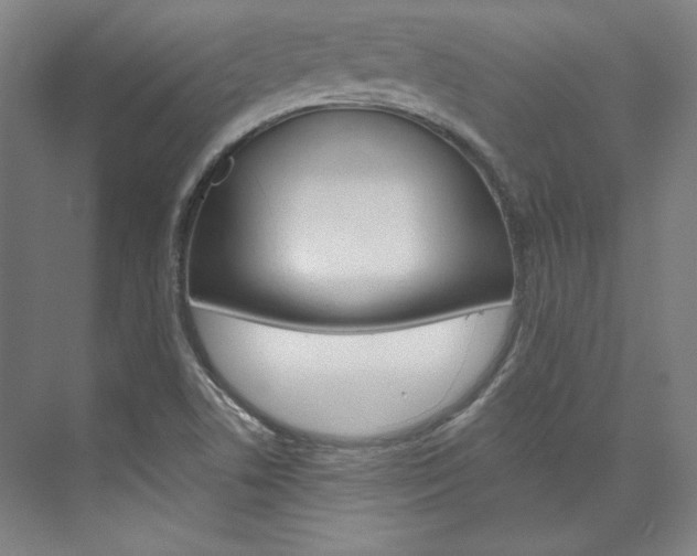 X0000074001506200608211054