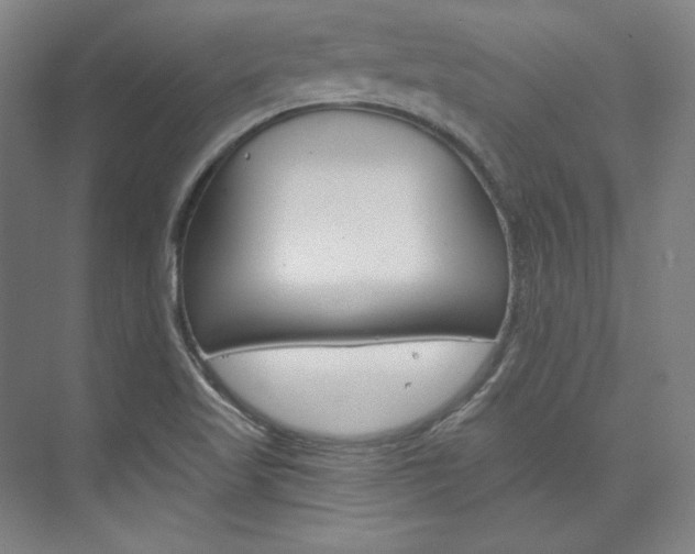 X0000074001509200608211054