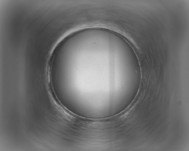 X0000074001510200608211054