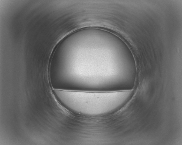 X0000074001513200608211054