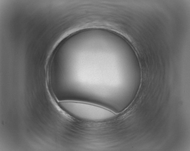 X0000074001515200608211054