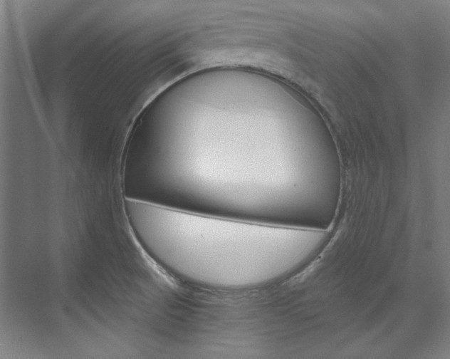 X0000074001521200608211054