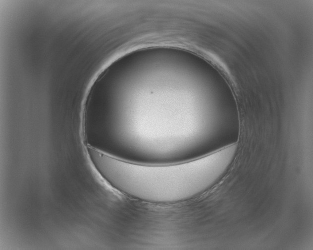 X0000074001528200608211054