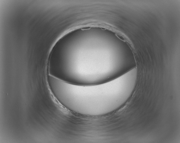 X0000074001530200608211055