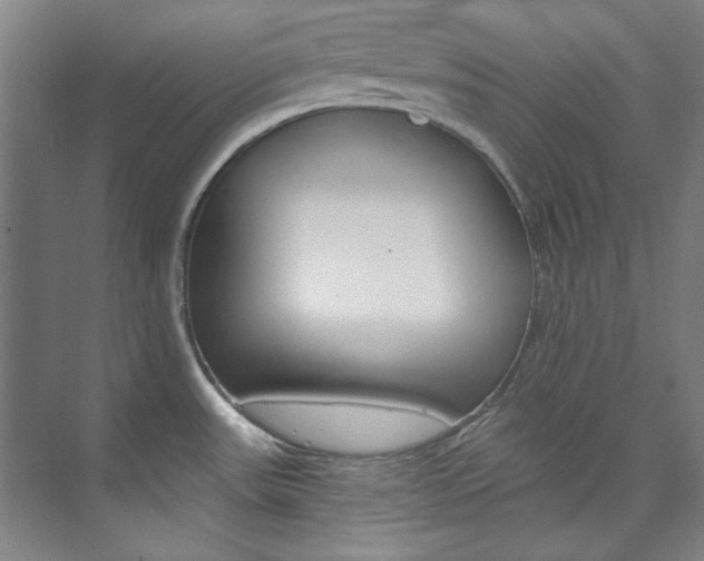 X0000074001531200608211055