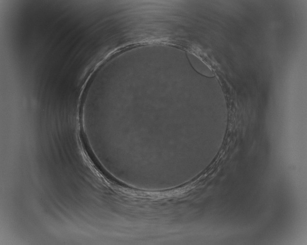 X0000074000002200608211426