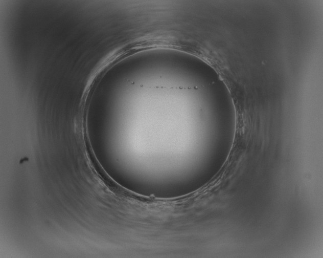 X0000074000004200608211426