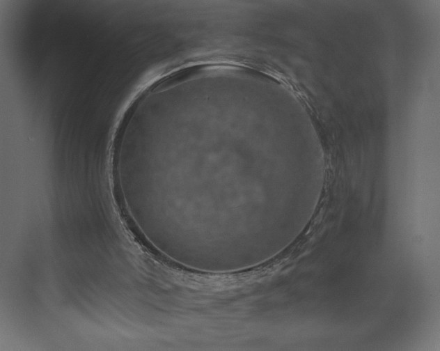 X0000074000006200608211426