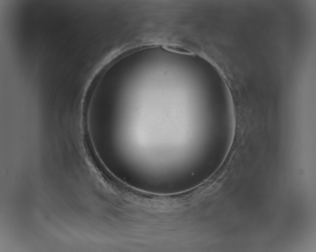 X0000074000008200608211426