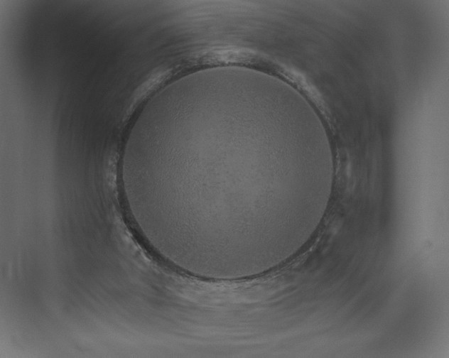 X0000074000010200608211426